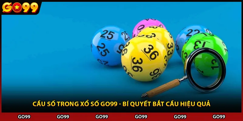 Cầu Số Trong Xổ Số Go99 - Bí Quyết Bắt Cầu Hiệu Quả